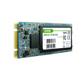 RITEK M.2 SSD (SATA) R801
